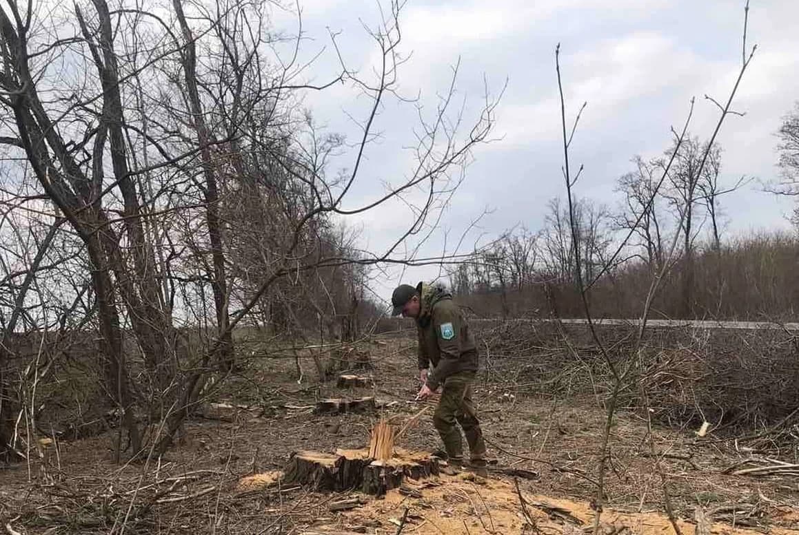 У Решетилівському районі незаконно зрубали 284 дерев