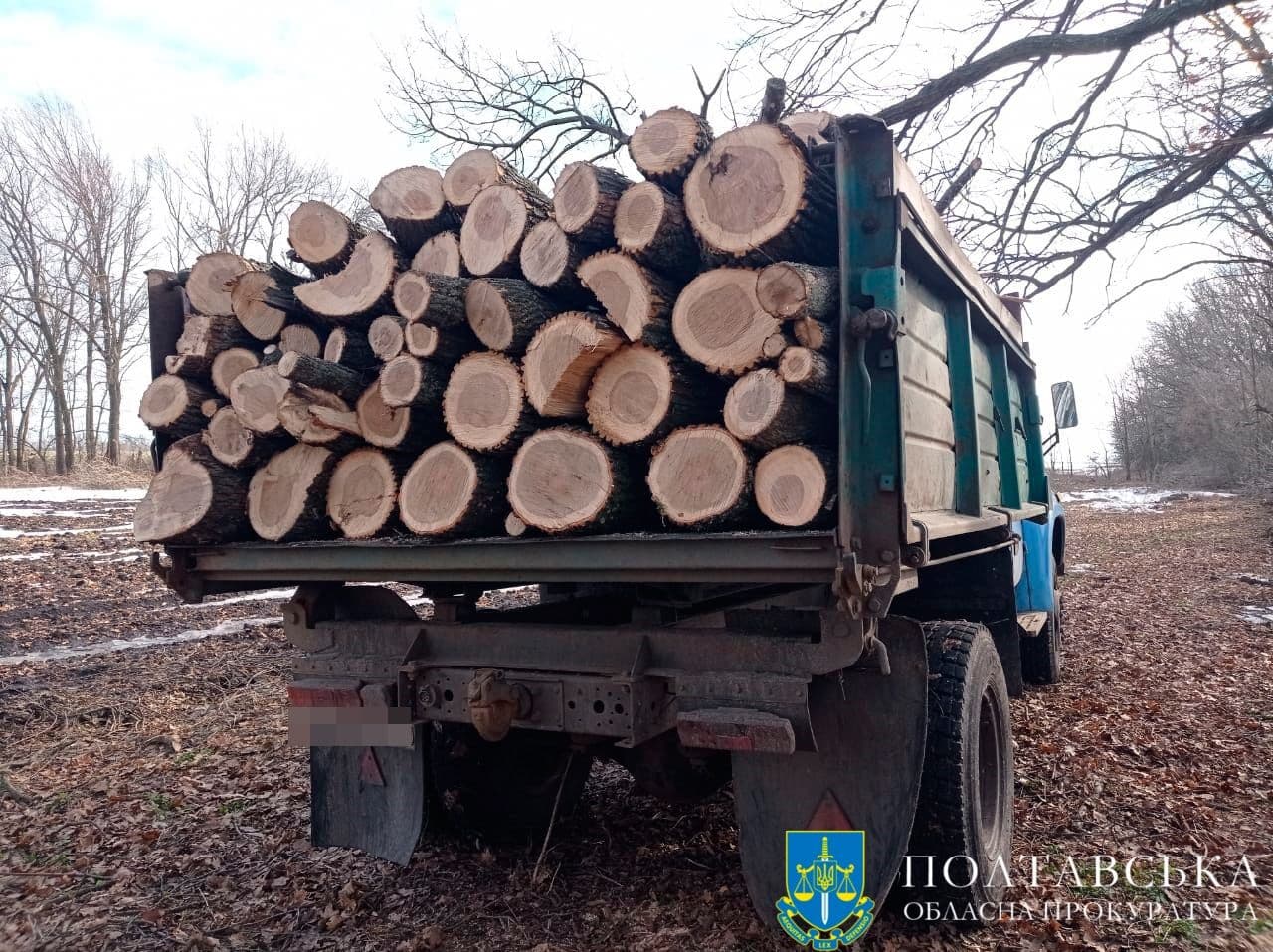 На Полтавщині двох чоловіків судитимуть за незаконну вирубку лісу