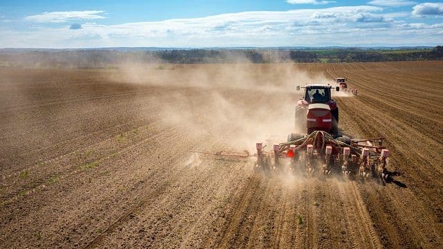 У Полтавській області засіяли вже 92 тисячі гектарів