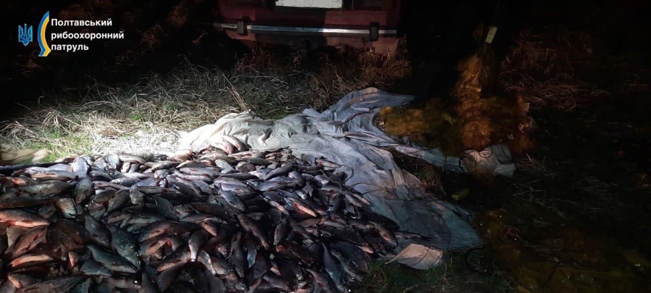 На Полтавщині зупинили браконьєра, що наловив риби на два мільйони гривень
