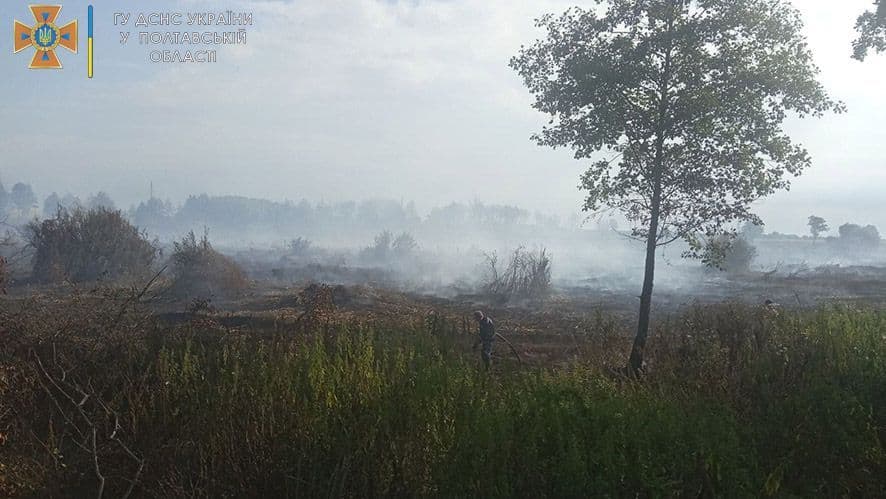 На Полтавщині горять торф'яники