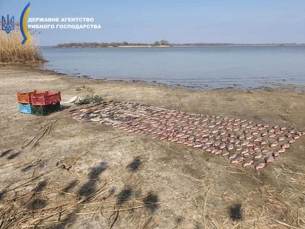 У Глобинському районі рибалка незаконно виловив риби на 81 тисячу гривень