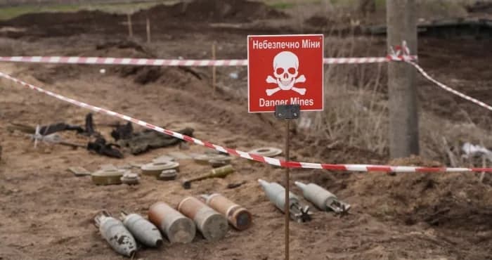 До розмінування України долучили приватні «компанії» — створили Центр організації