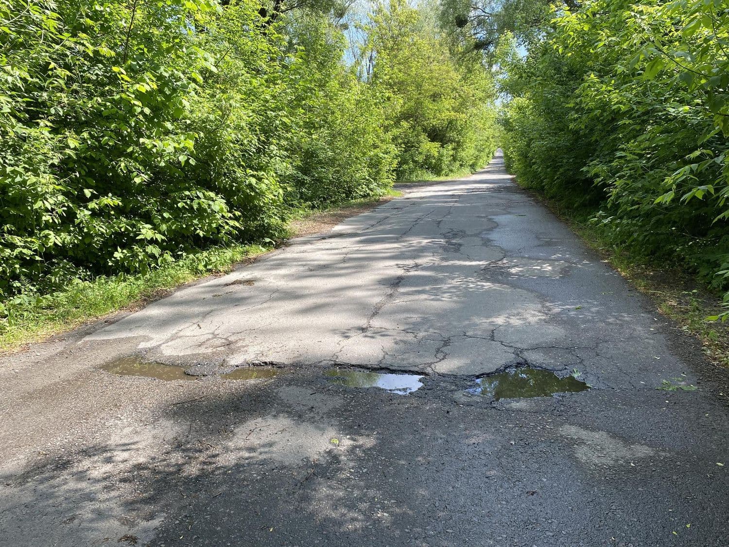 Понад половина доріг Полтавщини потребують капремонту