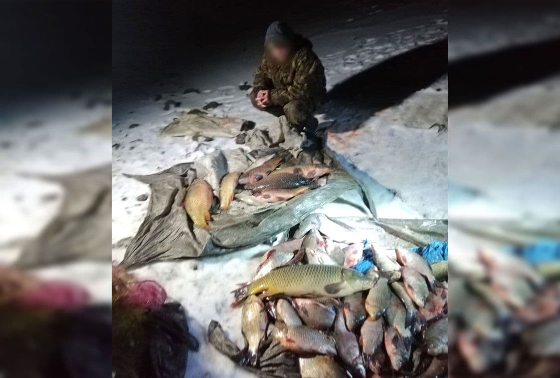 У Кременчуцькому районі браконьєр виловив риби на понад 600 тисяч гривень