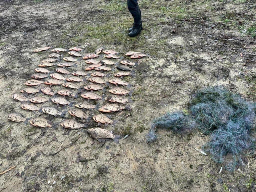 На Полтавщині двоє браконьєрів наловили риби на понад 66 тисяч гривень