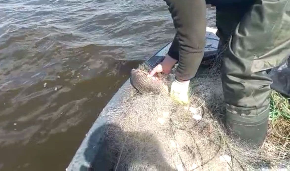 З водойми на Полтавщині витягнули понад 700 метрів браконьєрських сіток