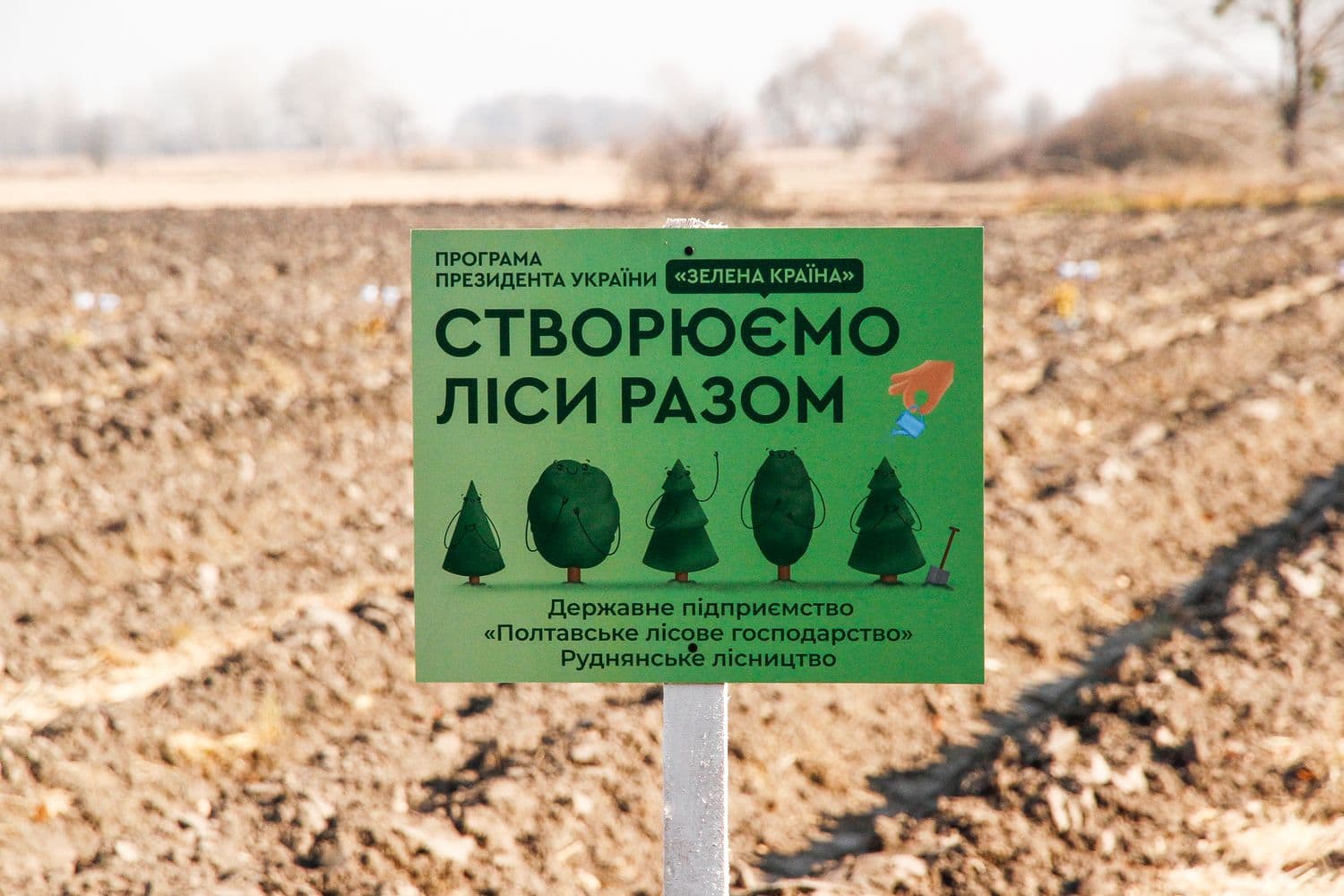 Толока «Створюємо ліси разом»: за день на Полтавщині висадили 57600 дерев