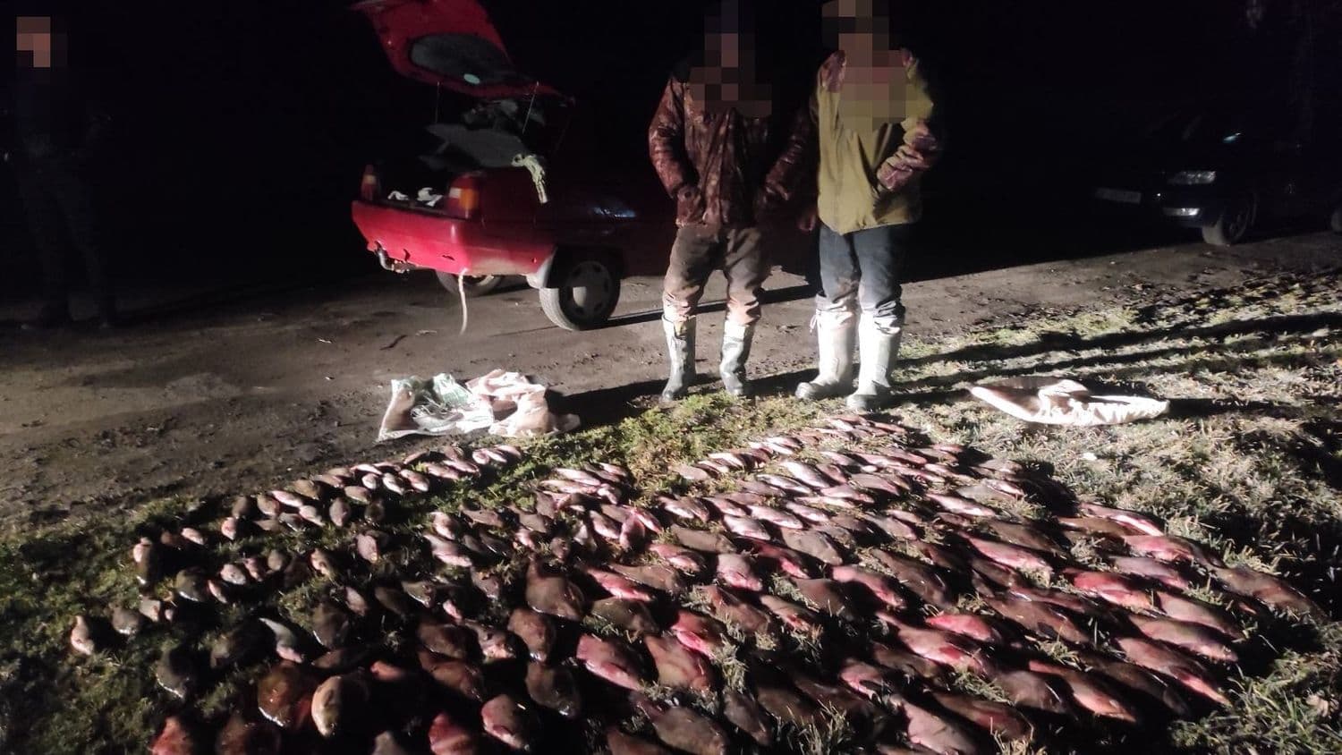 У Національному природному парку Полтавщини виловили риби на 1,4 млн грн