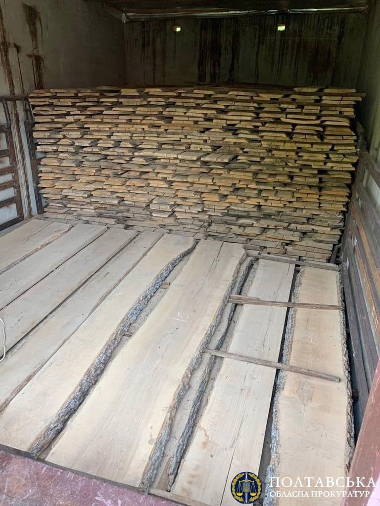 На Полтавщині викрили організовану банду лісорубів