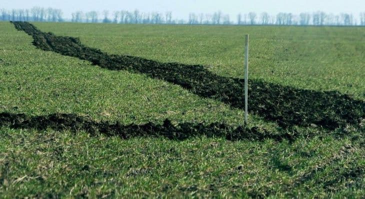 У росіян та білорусів конфіскували майже 24 гектари землі, розташованої на Полтавщині
