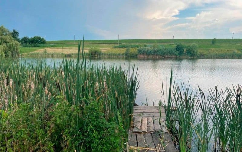 У ставку на Миргородщині потонув хлопець
