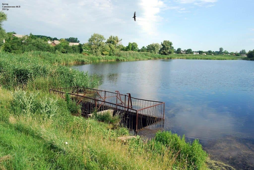 10-річний хлопець пішов замість школи до ставка - додому його повернула поліція