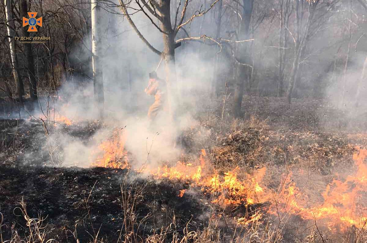 На Полтавщині вогнеборці загасили 31 пожежу на відкритій території