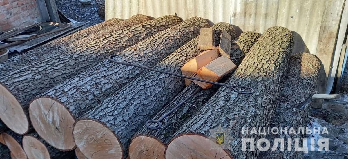 На Полтавщині затримали чоловіків, які нелегально спилювали дерева в лісі