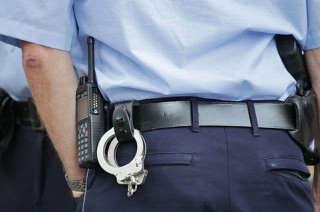 Пів року за ґратами: лубенця можуть посадити за знущання над кішкою