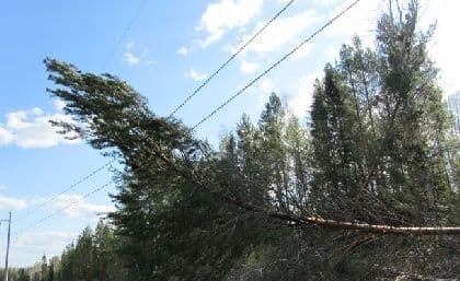 Через негоду десятки сіл на Полтавщині залишились без струму