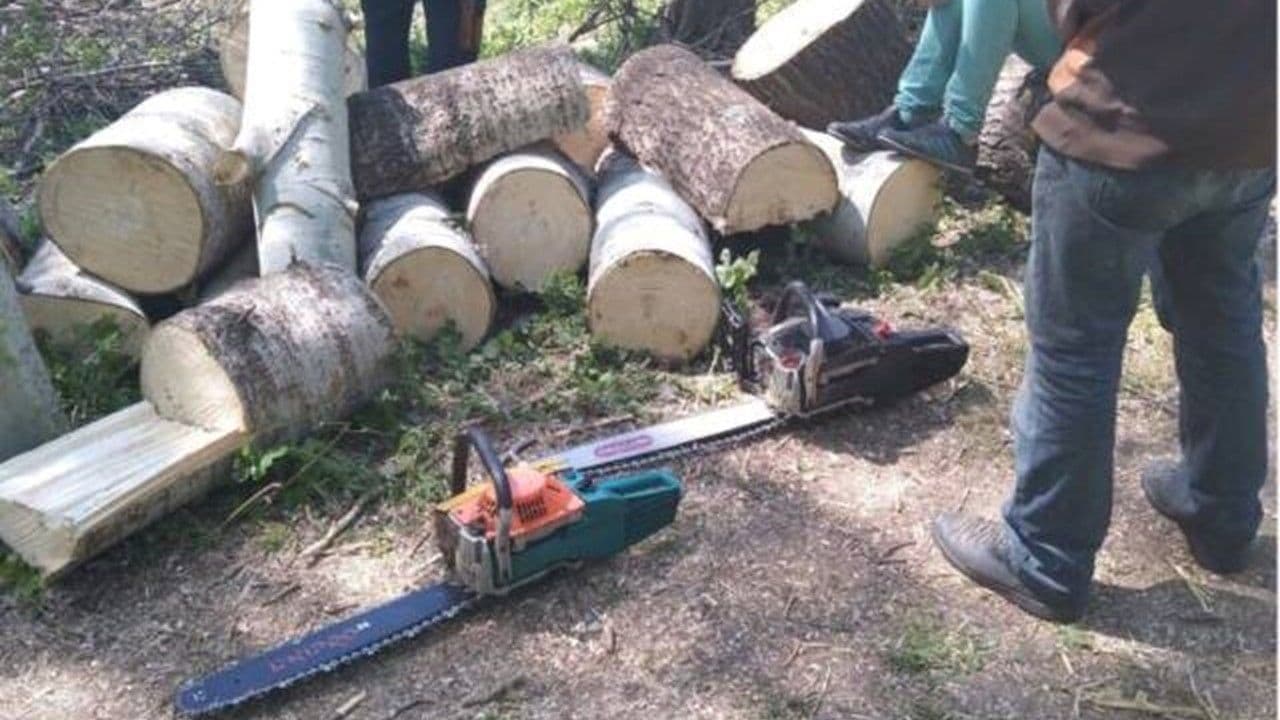 На Гадяччині затримали водія, який перевозив деревину без дозвільних документів