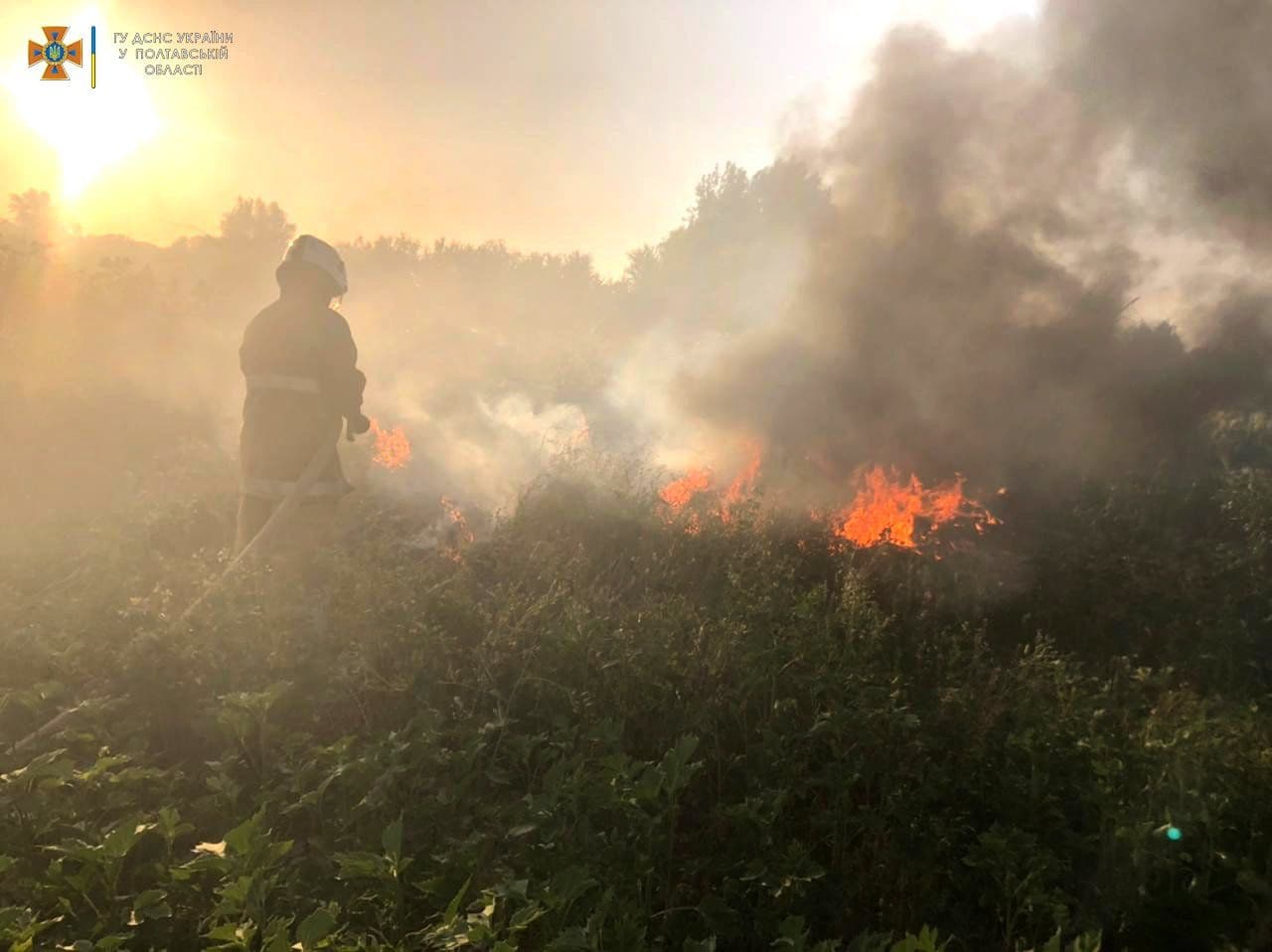 На Полтавщині 24 серпня сталося чотири пожежі на відкритій території