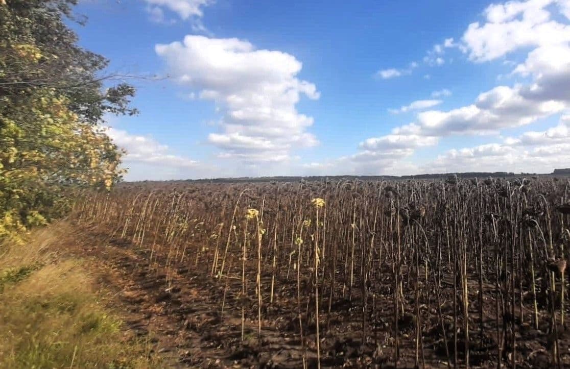 Школі на Полтавщині повернули землі вартістю понад 900 тисяч гривень