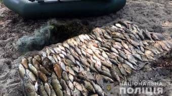 Браконьєри знову активізувались