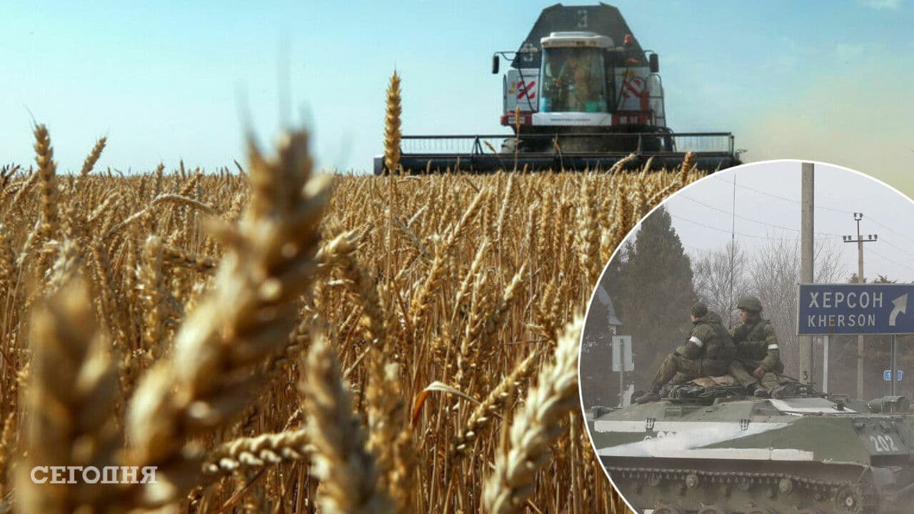 Окупанти, як і в Голодомор, крадуть зерно в українців — Мінагро