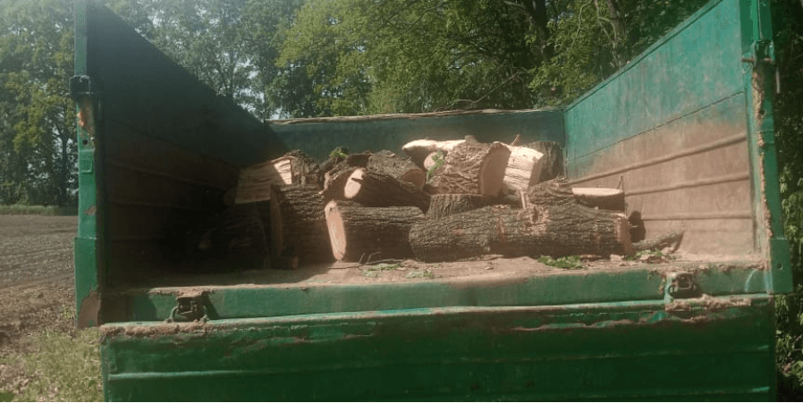 Незаконна вирубка — на Полтавщині знайшли вантажівку з розпиляними колодами