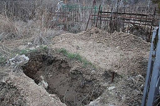 Через підозру про крадіжку собаки на Полтавщині троє чоловіків катували жінку