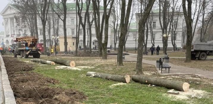 У Полтаві вирубають дерева на 700 000 грн — тендер від міськради