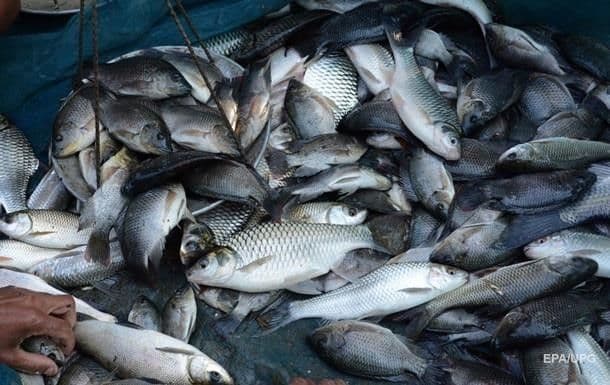 У червні браконьєри на Полтавщині завдали збитків майже на три мільйони