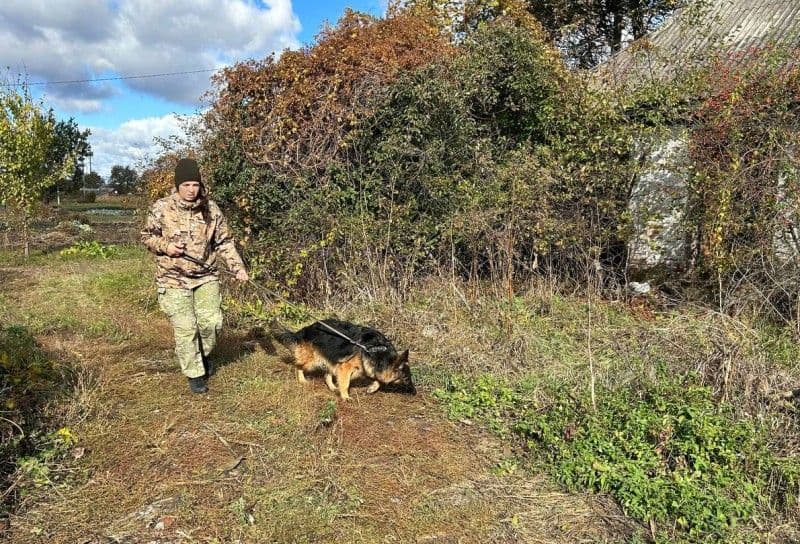 На болоті у Миргороді знайшли тіло чоловіка