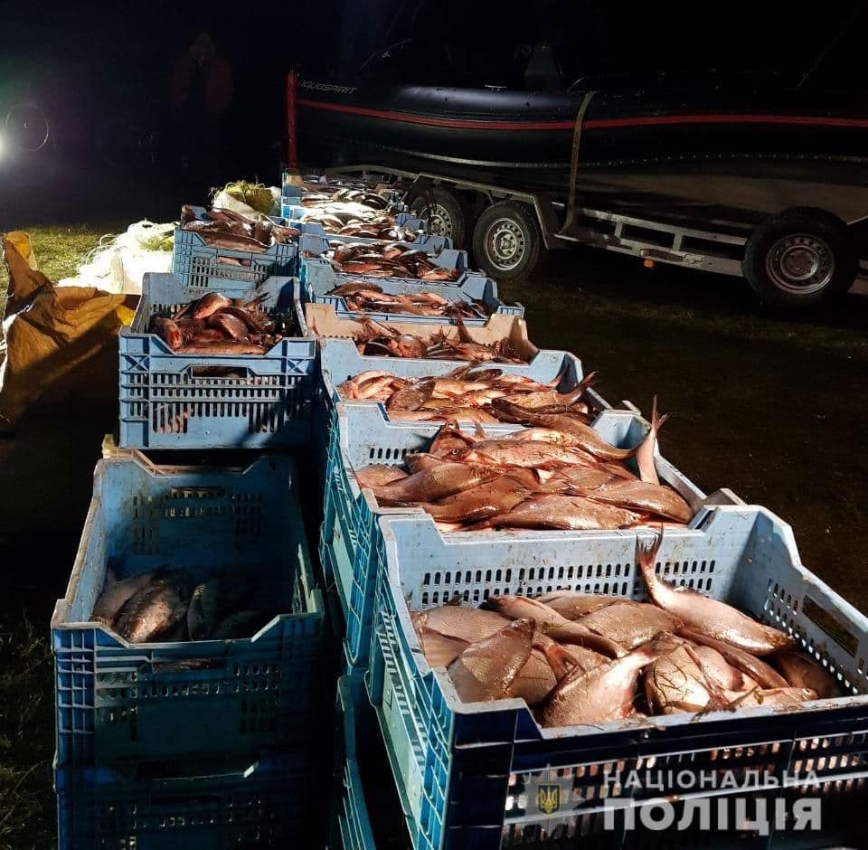 На Полтавщині браконьєри наловили риби на 1 мільйон гривень