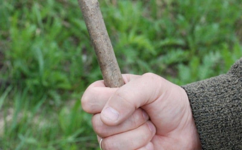 У громаді на Полтавщині чоловік у сварці вбив односельця