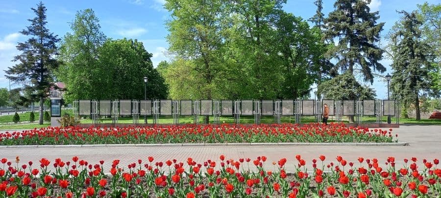 У Миргороді облаштують алею на честь загиблих воїнів
