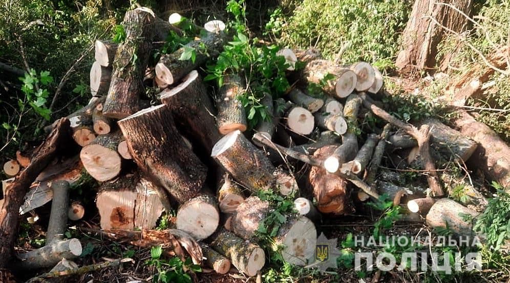 У Полтавському районі незаконно зрубували ліс