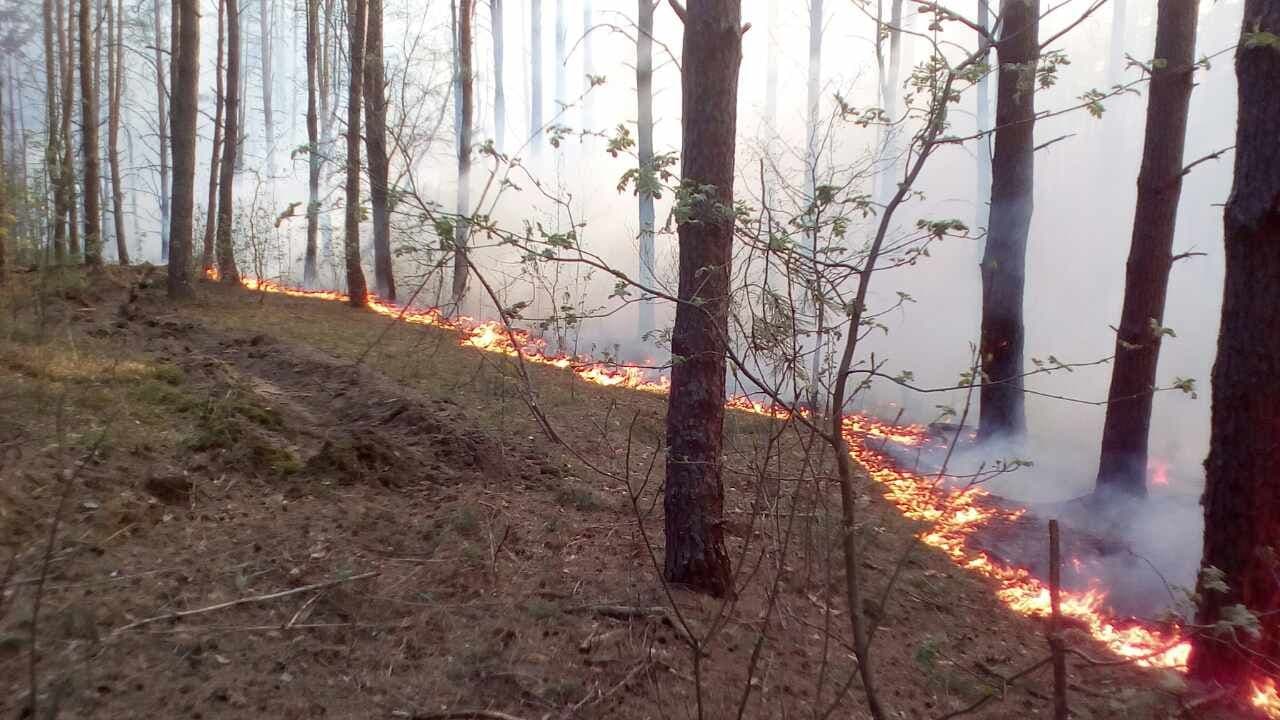 На Полтавщині в районах діятиме надзвичайний рівень пожежної небезпеки