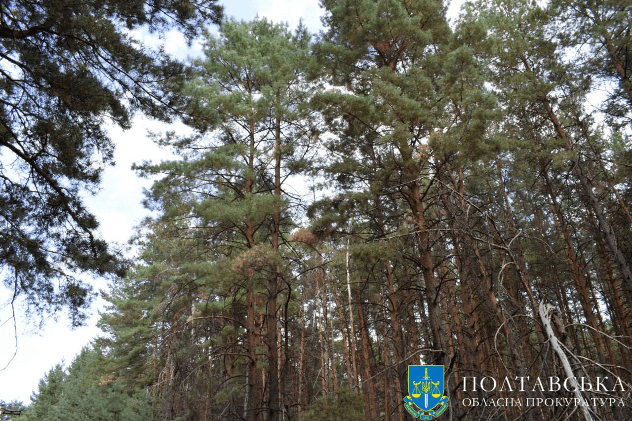 На Полтавщині прокуратура повернула державі майже 160 га незаконно орендованого лісу