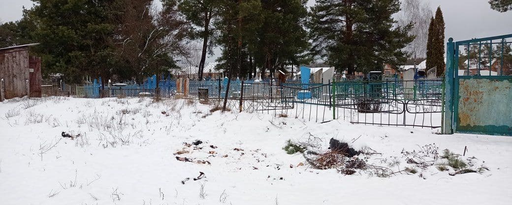 Знайдені у Полтаві шкури виявилися не собачими