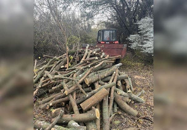 На Полтавщині двох чоловіків спіймали за незаконною вирубкою деревини