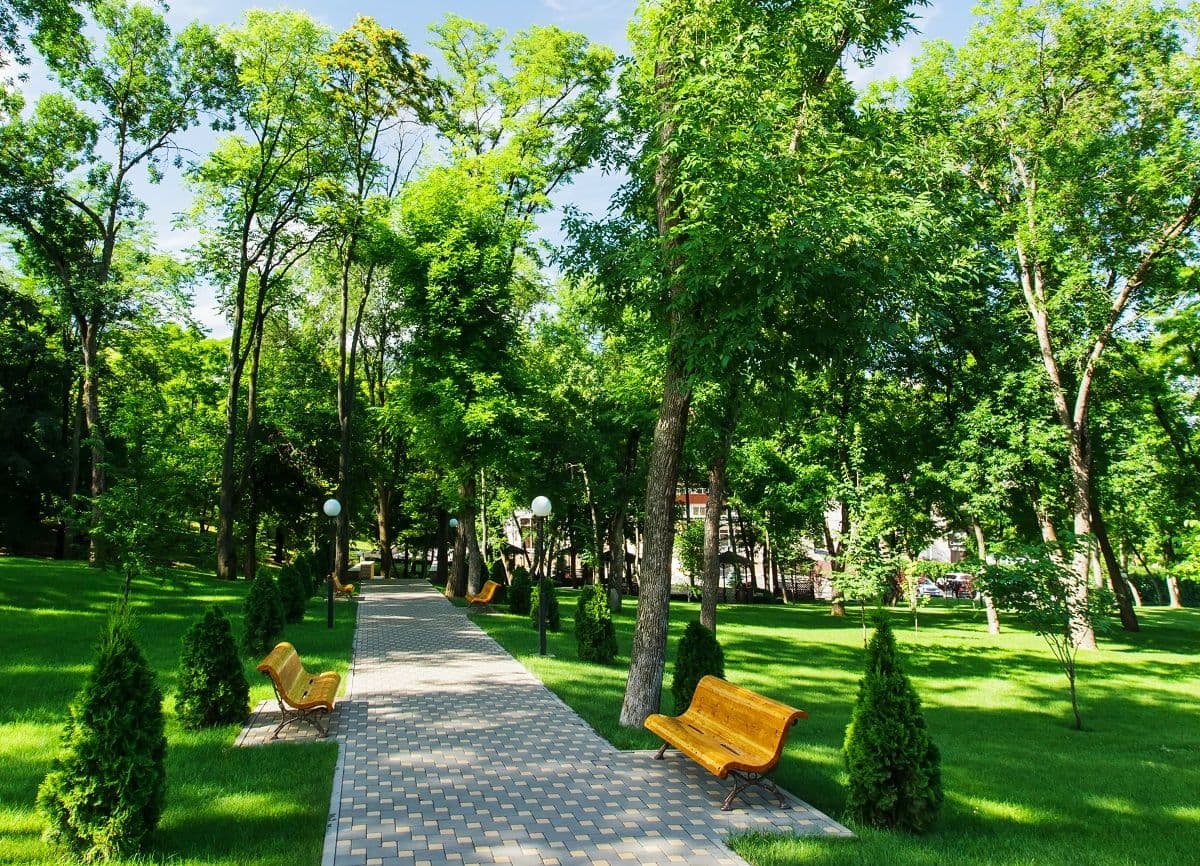 Перелік проєктів екологічних ініціатив Полтавщини, які планують реалізувати цьогоріч