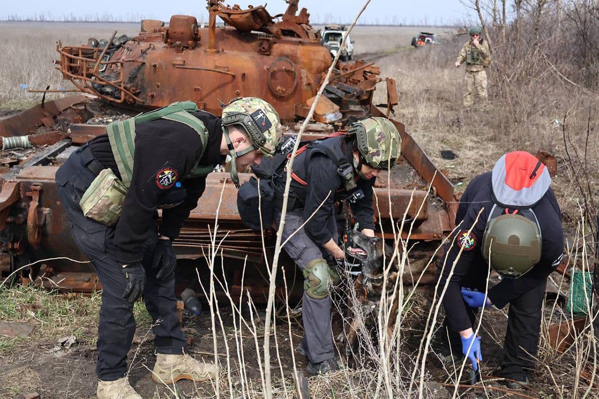 У Полтаві відбудеться прем'єра фільму про пошук безвісти зниклих