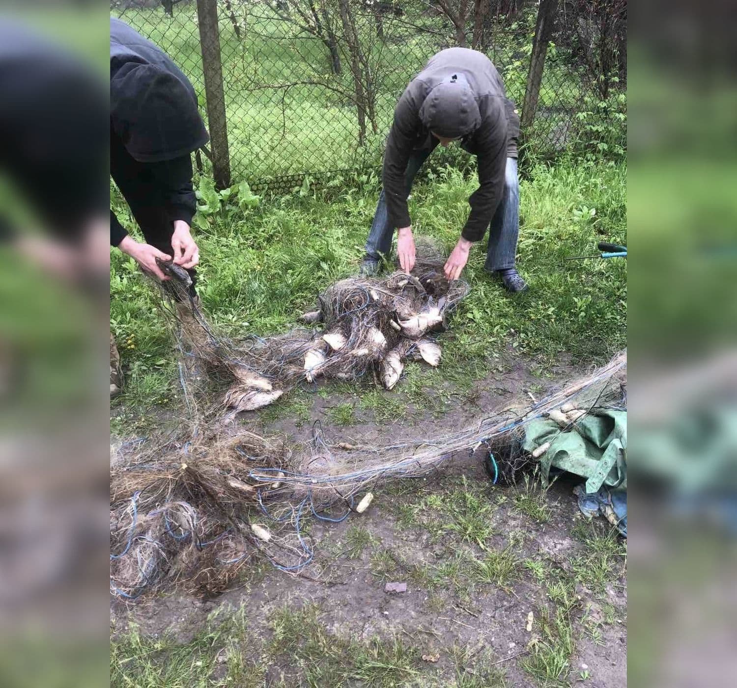 На Полтавщині браконьєр наловив риби на 125 тисяч гривень