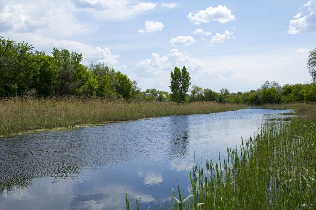 На полтавських пляжах знайшли холероподібні вібріони