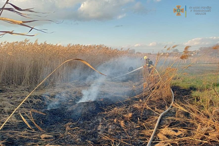 На Полтавщині згоріло 12 гектарів сухої трави та очерету