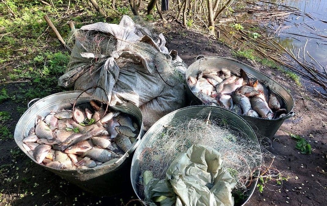 На Полтавщині браконьєри виловили риби на понад два мільйони