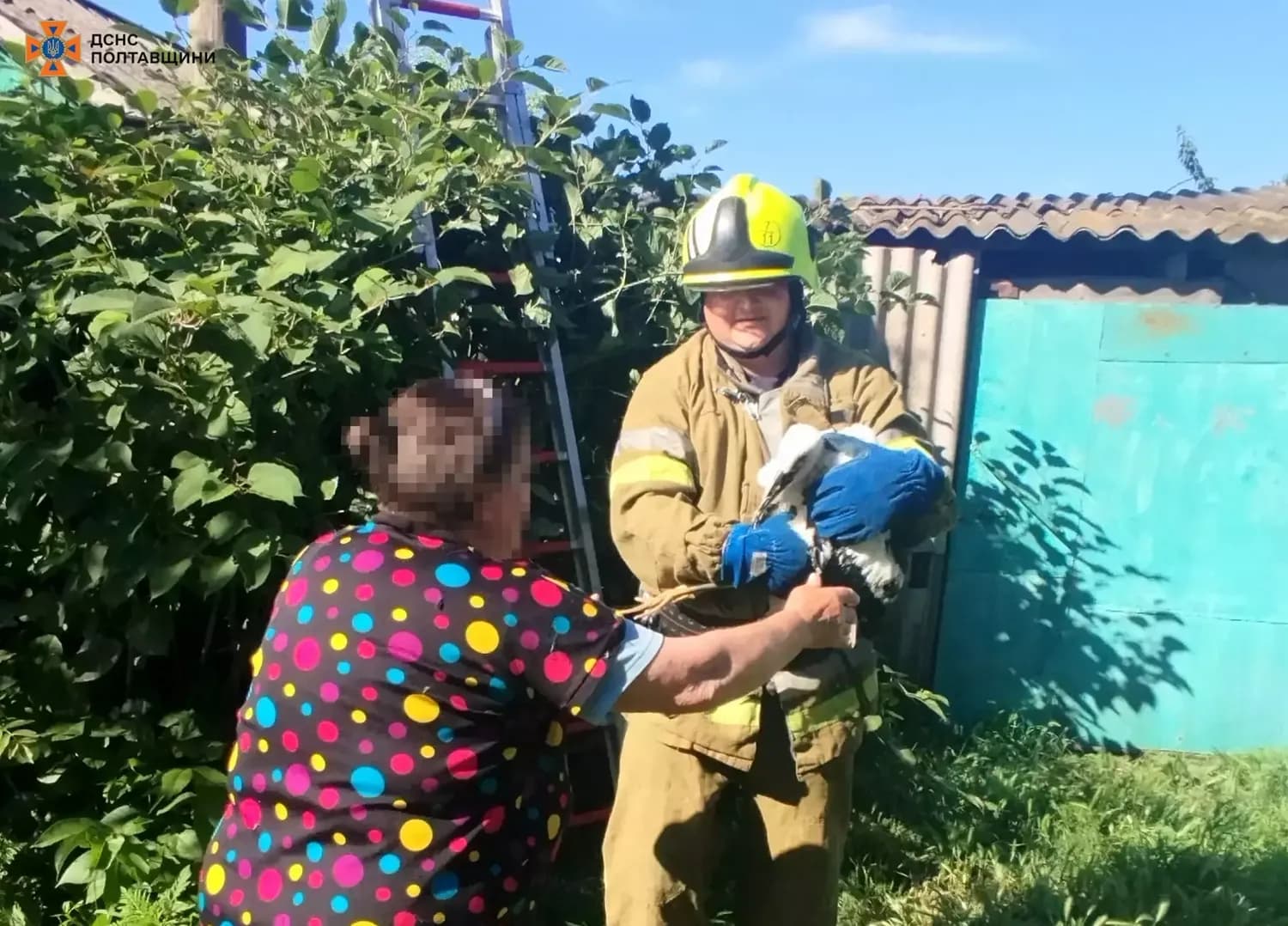 На Полтавщині надзвичайники врятували пташеня лелеки