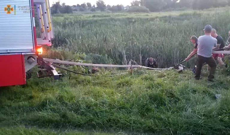 У Чутовому на одній із вулиць застрягла корова