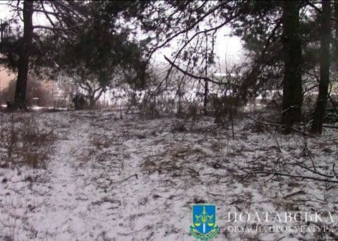 Вбила за прикраси — мешканка Полтавщини отримала довічне ув'язнення