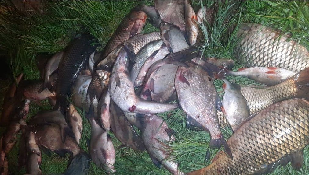 На Полтавщині спіймали браконьєра з уловом на понад 750 тисяч гривень
