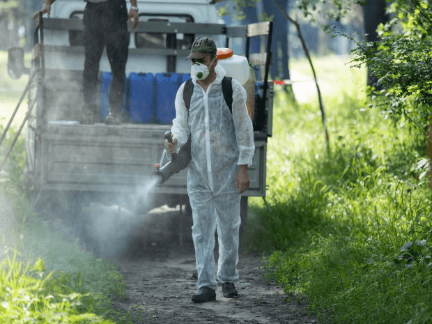 Знищення амброзії у Полтаві й 35 млн на відбудову — головне за 11 квітня